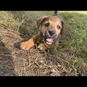 Meet your Posher, Tierra